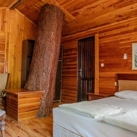 Kadir'S Top Tree Houses Olympos Extérieur photo