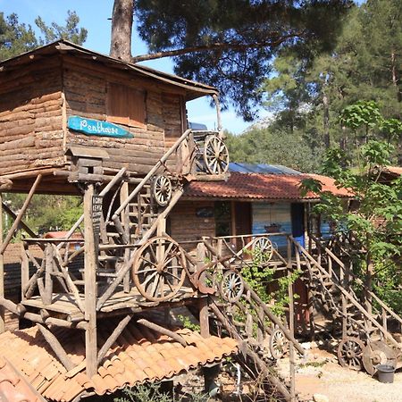 Kadir'S Top Tree Houses Olympos Extérieur photo