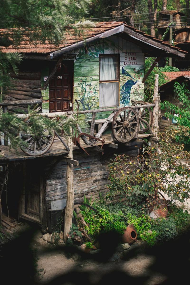 Kadir'S Top Tree Houses Olympos Extérieur photo