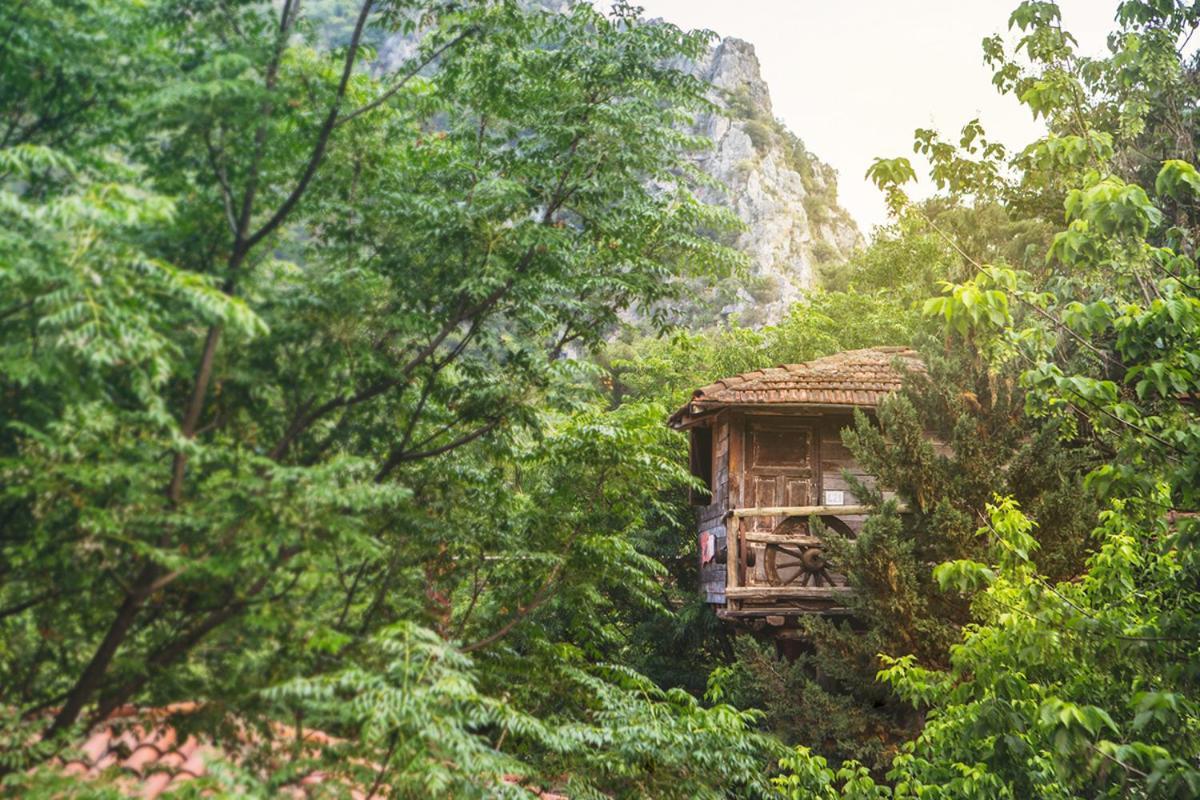 Kadir'S Top Tree Houses Olympos Extérieur photo