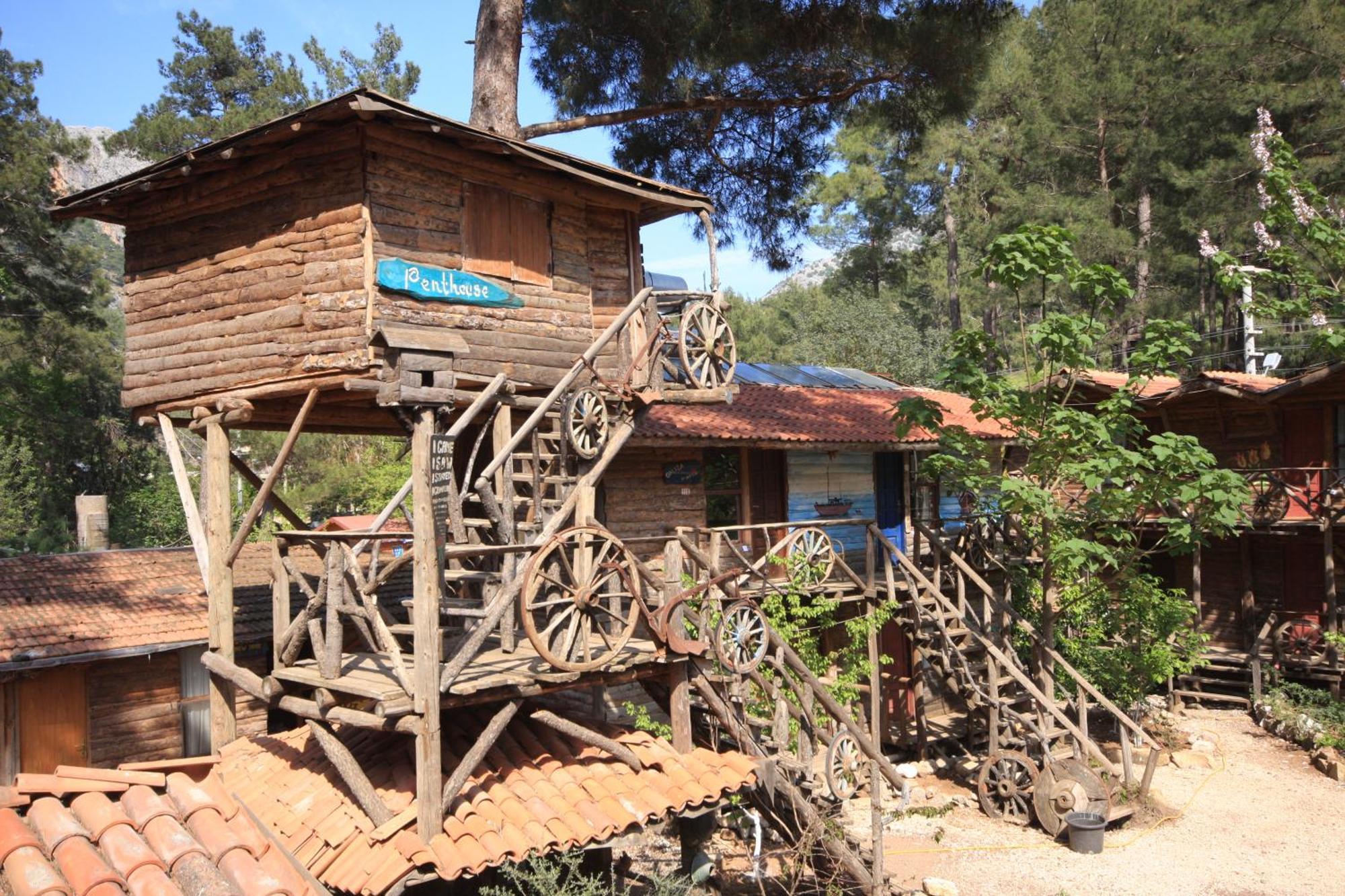 Kadir'S Top Tree Houses Olympos Extérieur photo