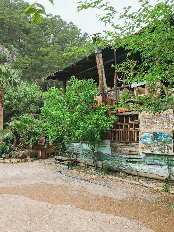 Kadir'S Top Tree Houses Olympos Extérieur photo