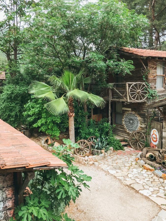 Kadir'S Top Tree Houses Olympos Extérieur photo