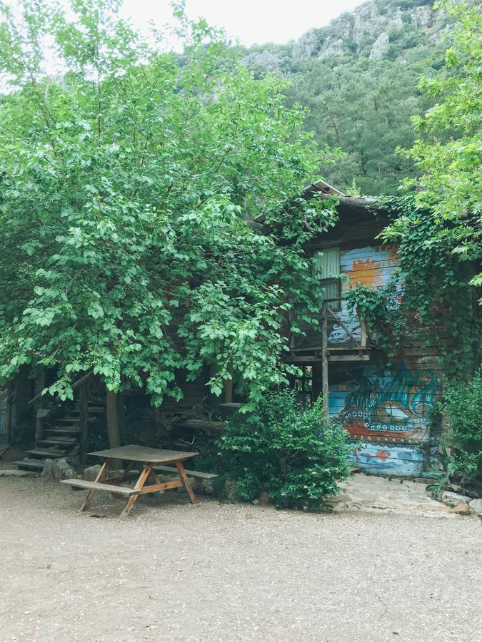 Kadir'S Top Tree Houses Olympos Extérieur photo