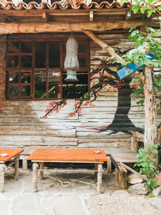 Kadir'S Top Tree Houses Olympos Extérieur photo