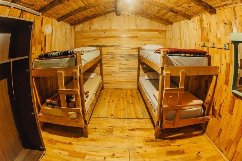 Kadir'S Top Tree Houses Olympos Extérieur photo