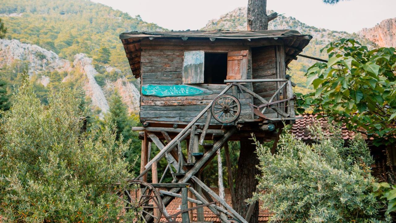 Kadir'S Top Tree Houses Olympos Extérieur photo