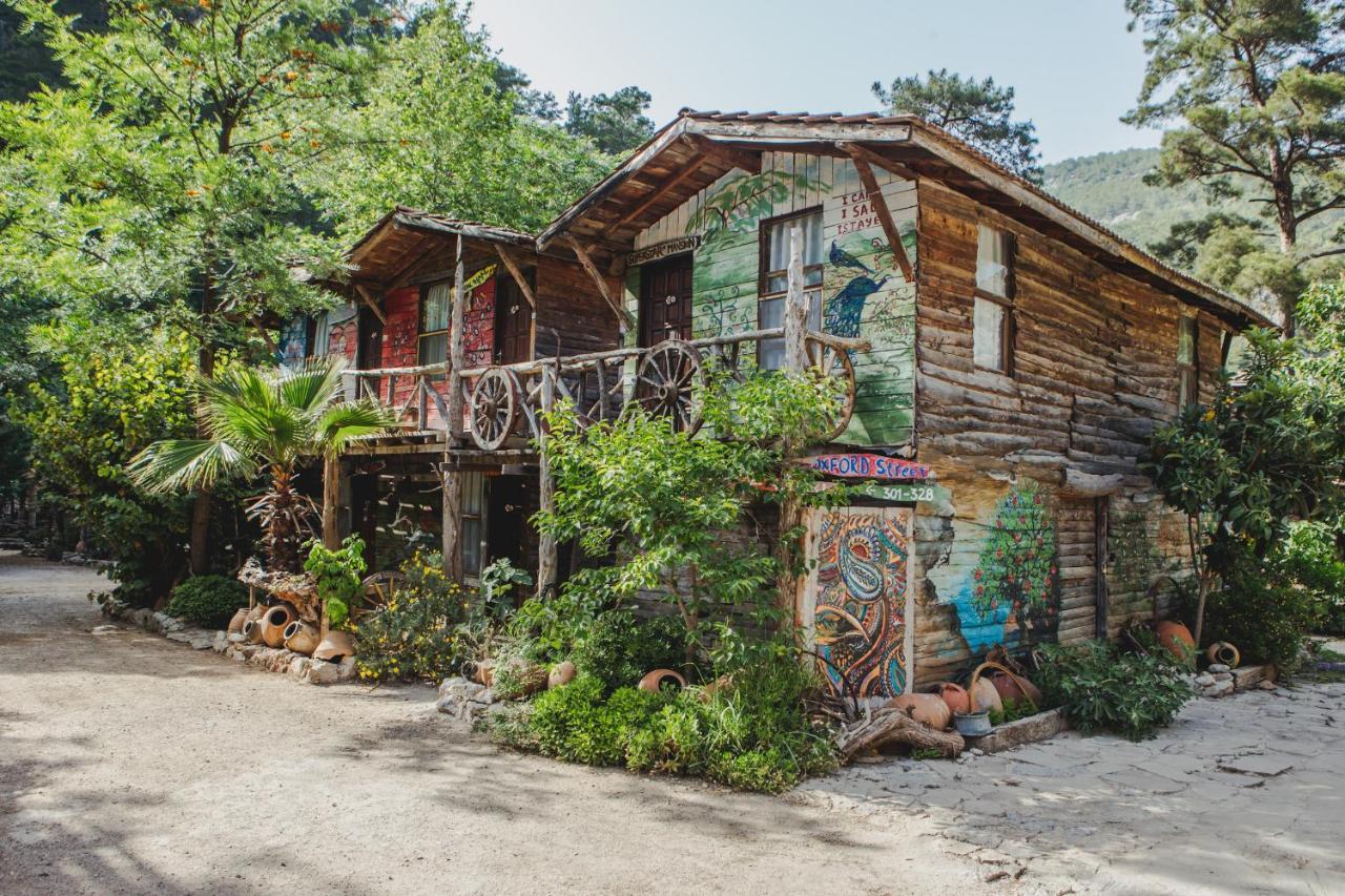 Kadir'S Top Tree Houses Olympos Extérieur photo